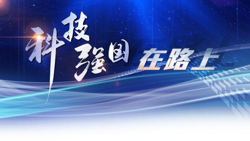 深度解析：搜索性能优化安装步骤全攻略