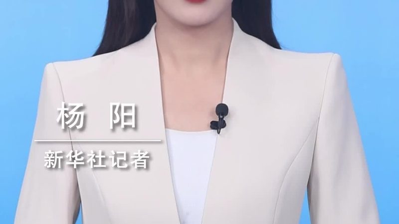 容器编排网络配置方案：揭秘高效IT基础设施的构建之道